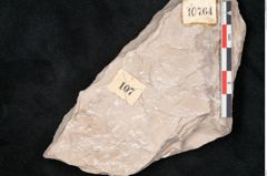 Foto (Detailansicht) von Dictyopteris brongniarti Gutb. (NHMW-GEO-2024-0188-10764)